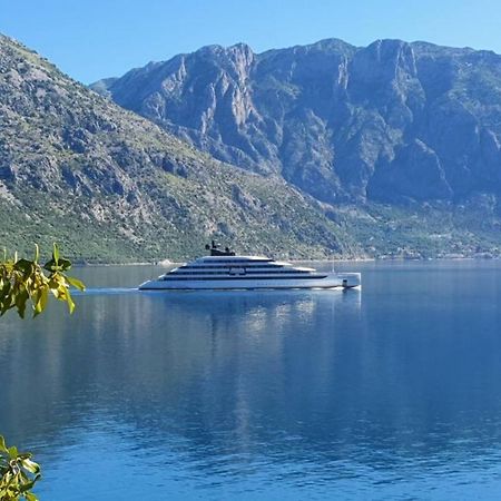Apartamento Magnolia Adriatic Kotor Exterior foto
