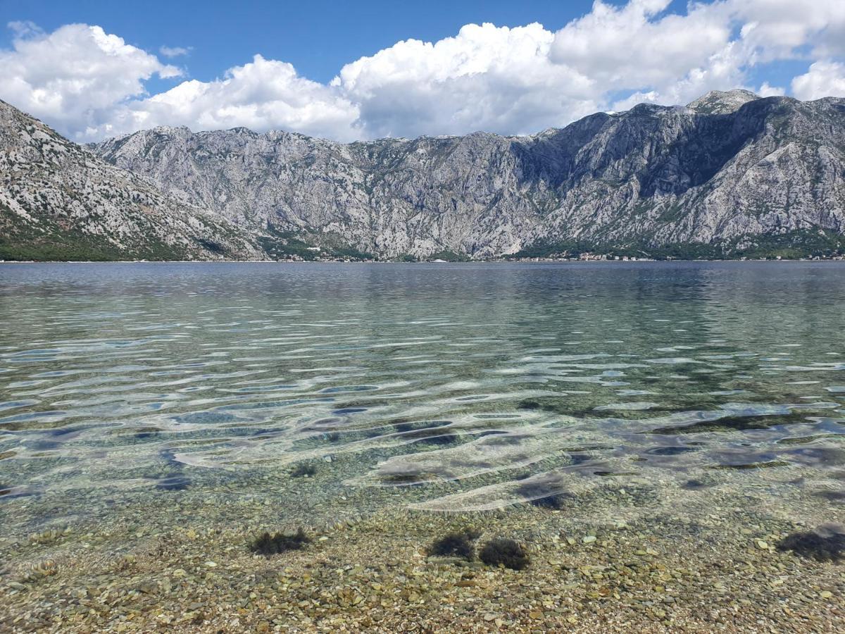 Apartamento Magnolia Adriatic Kotor Exterior foto